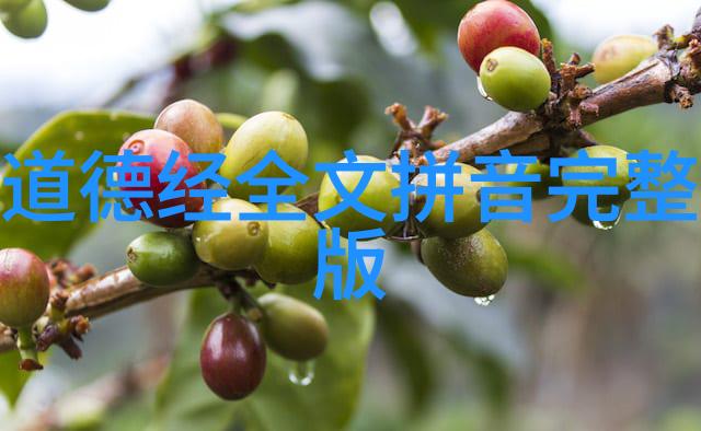 道家思想代表人物聊聊老子和庄子这两位哲人是怎么一回事