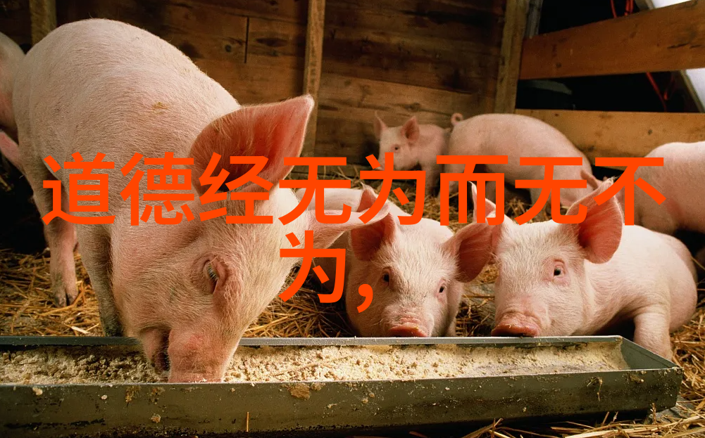 排名前十的道教大师他们的故事你知道吗