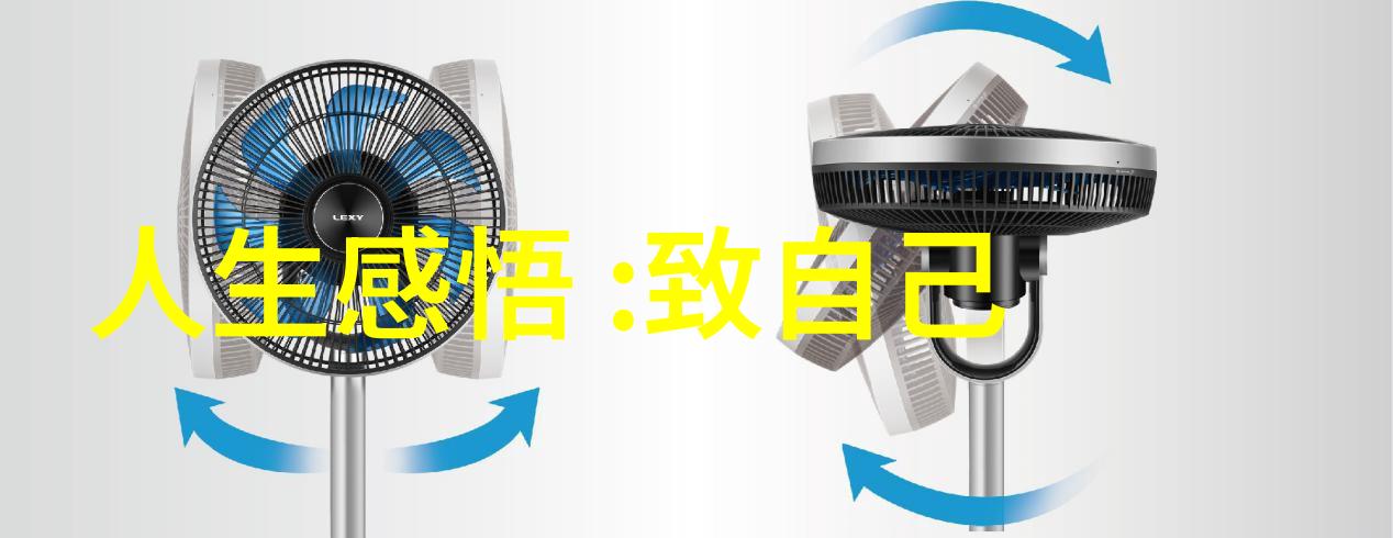 心无为而行无不为的智慧之道深度解读心态与行动方式