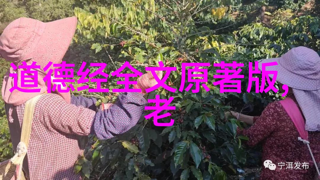 道教协会的传承与发展