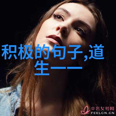 我的乌龟闯荡扇贝视频世界一段奇妙的网络交友故事