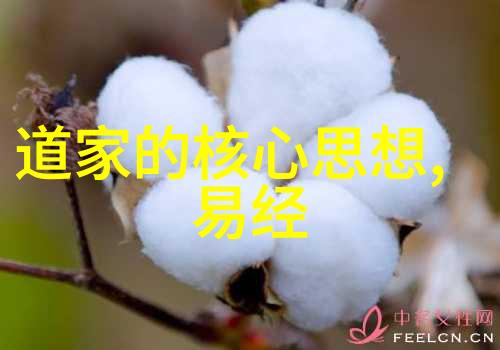 反其道而行之的下句是我为什么总是选择逆着潮流走