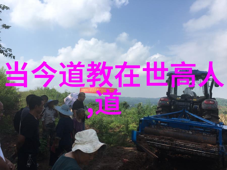 天赋的智慧悟性与自然和谐之道