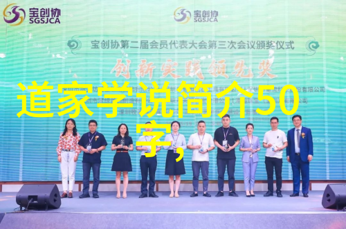 道韵纷飞当代修者与宇宙和谐的探索