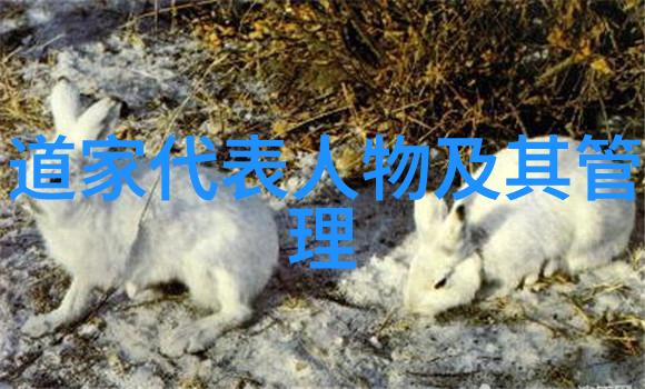 墨韵绘彩欣赏书法作品评语的艺术探索