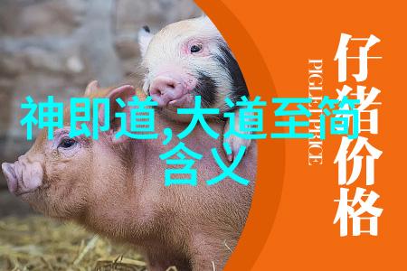 道家高人隐世修炼的国之栋梁