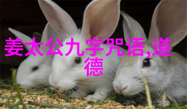 如何应对上我心理的影响与解决策略