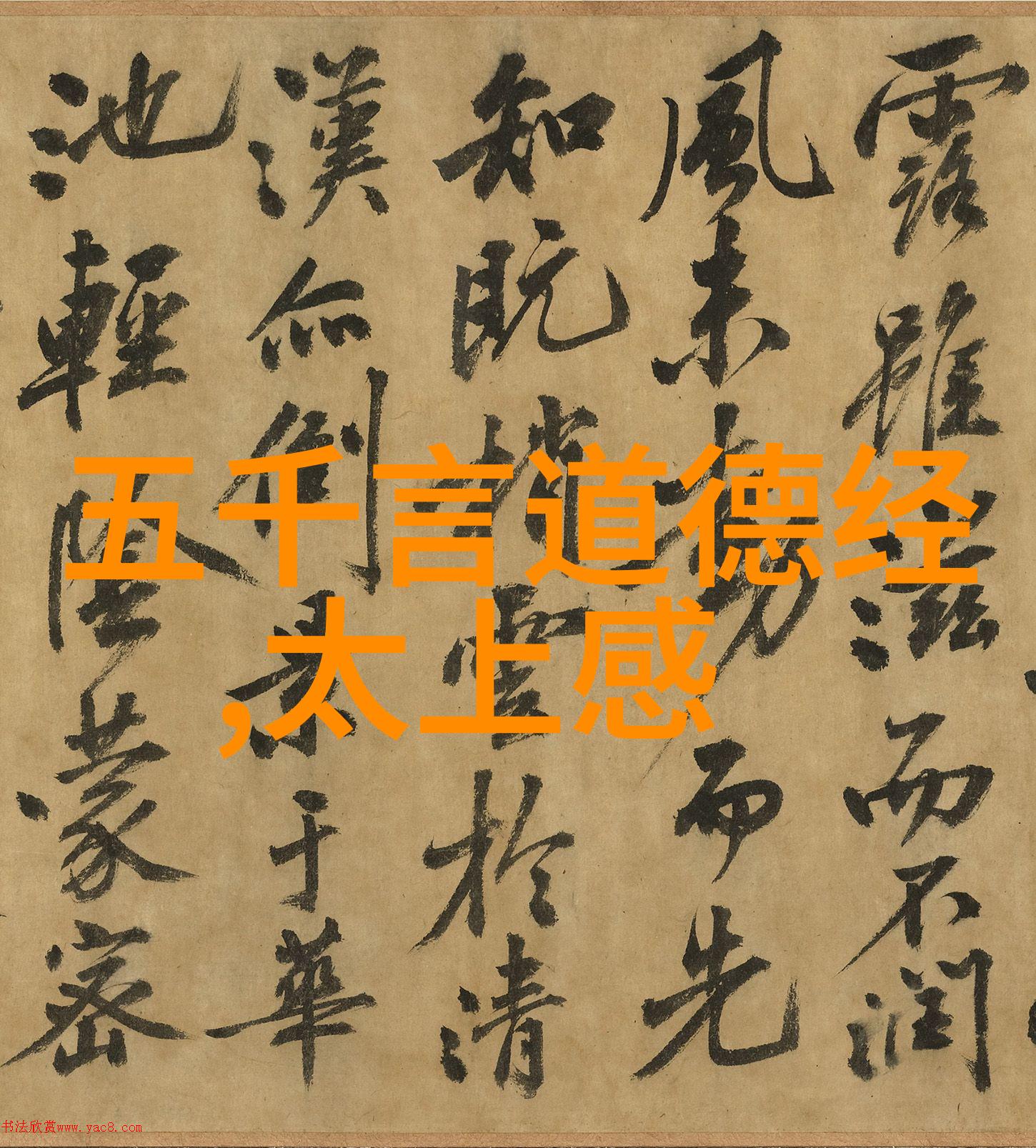 以思想道德和法律基础为镜鉴反思当代价值观导向的问题