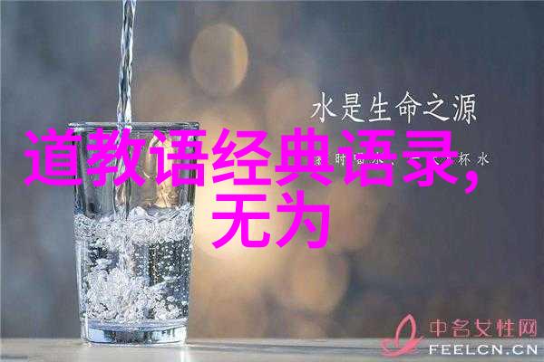 老子道德经译解探索哲学智慧的传承与创新