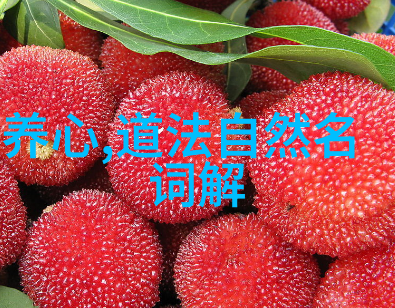 飞翔者的足迹纪录片拍摄大鹏鸟生活画面