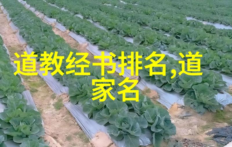 道德经81章全文解读孔子古籍哲学深度分析