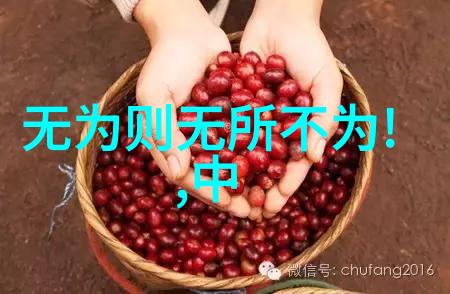 庄子无为有为哲学庄子的自然与人生观