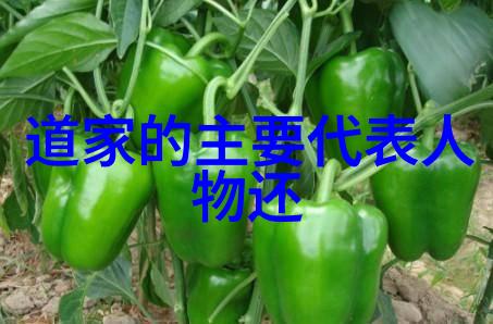 河上丈人阐道德