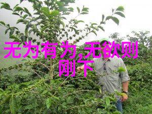 刘伯温其在道家文化中的地位和贡献又是什么