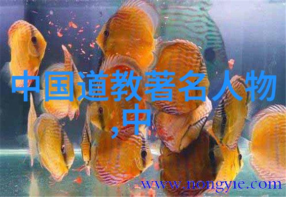 既有道德又有理想重新审视对待太上老君的态度