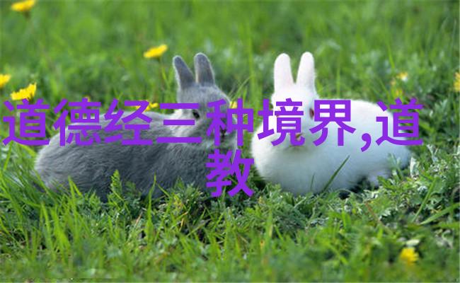 道德经全文解读与译文深度分析中国古籍哲学经典的智慧宝库