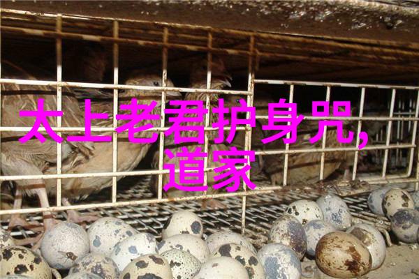 探索古代智慧道家房中术的秘密与实践