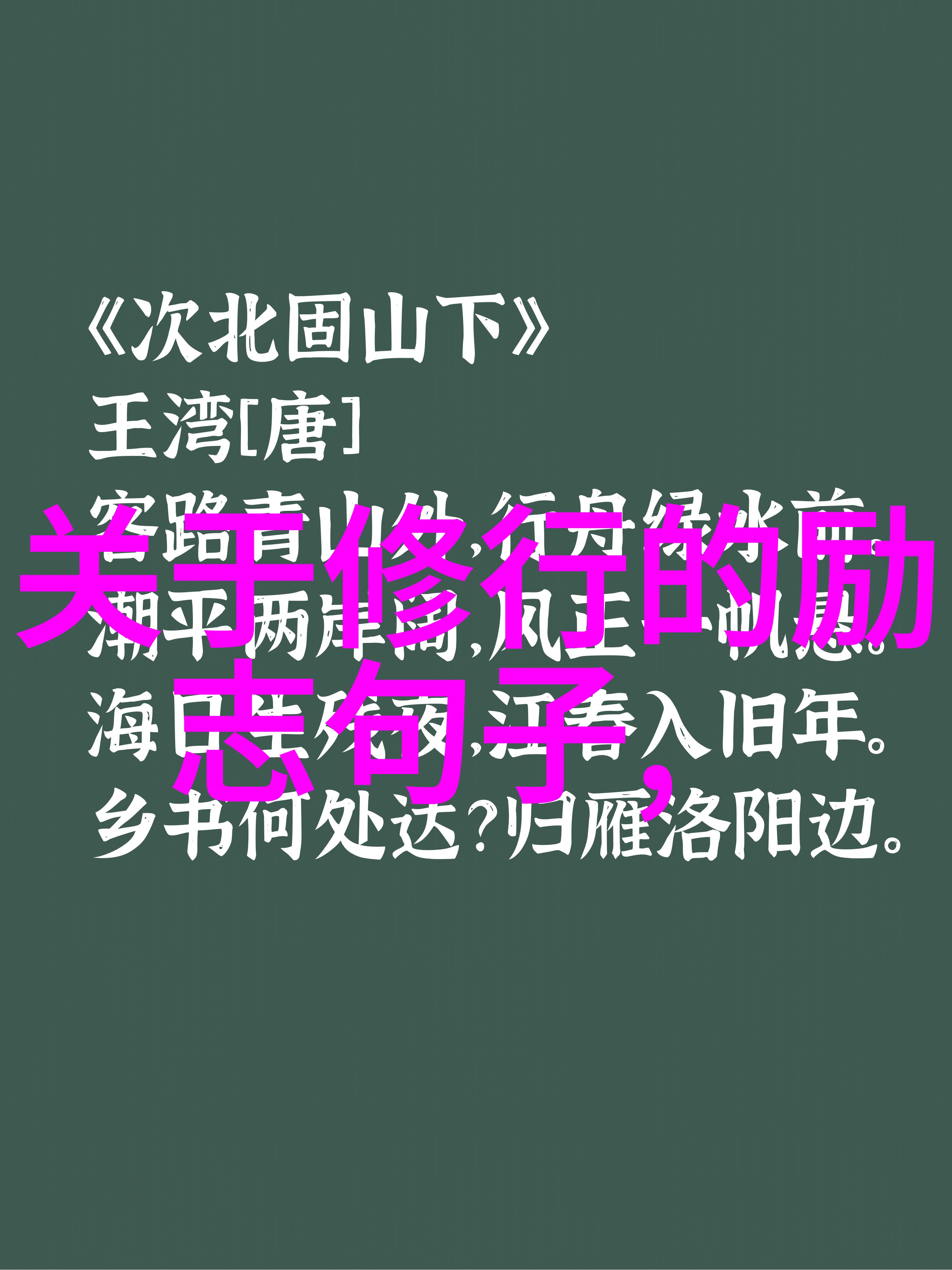 文人墨趣书法鉴赏之美妙世界与深邃心得