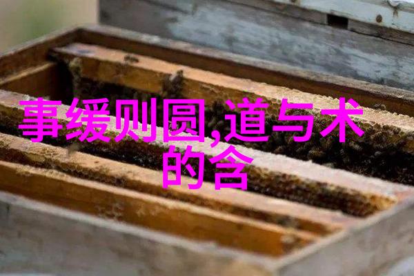 新道家探索新道家的智慧张岱孙与现代生活哲学