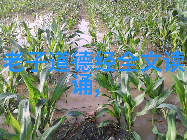 吴充仁现代道教代表人物推广文化之士