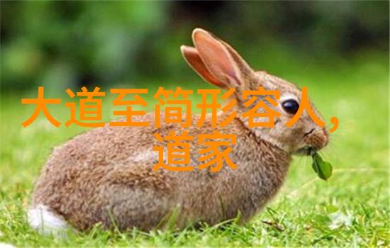 古文奇谜解开千年沉睡的名句之谜