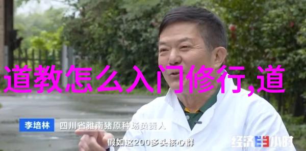 道教中常见的保护性咒语及其适用场景分析