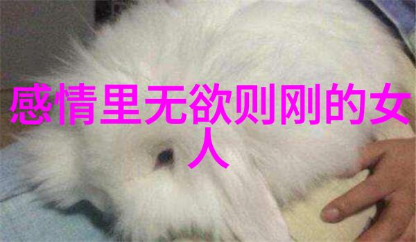 探索道教智慧的深邃理解与评析古老哲学之路
