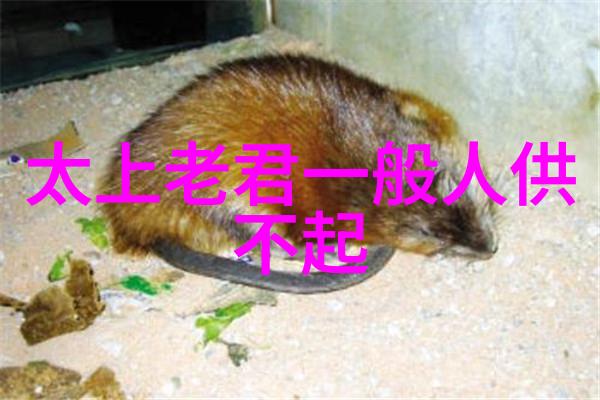 静观万物生长内心却掩藏着的道德斗争
