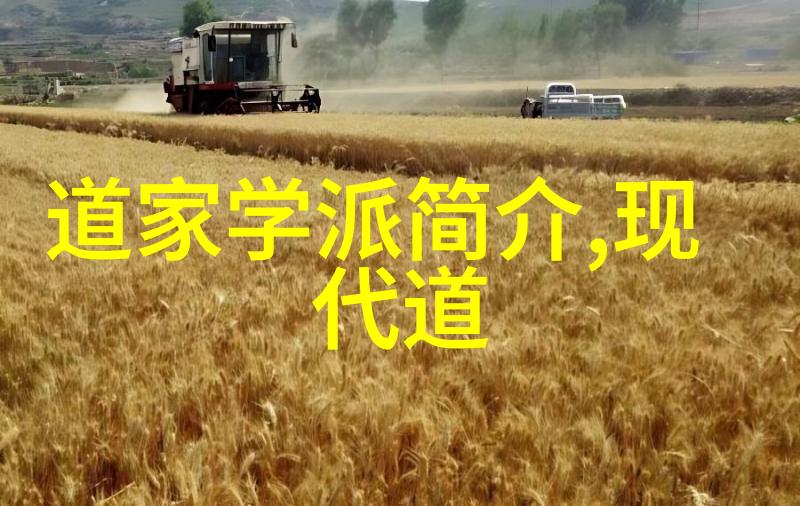 从无为而治到顺其自然道德经第81章深度解析