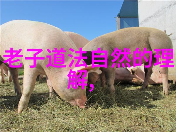 孔子的思想与老子的道家有何不同