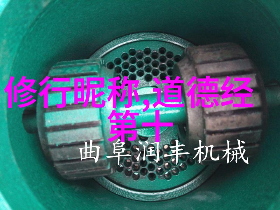 探究无不为概念在哲学与伦理学中的内涵与应用