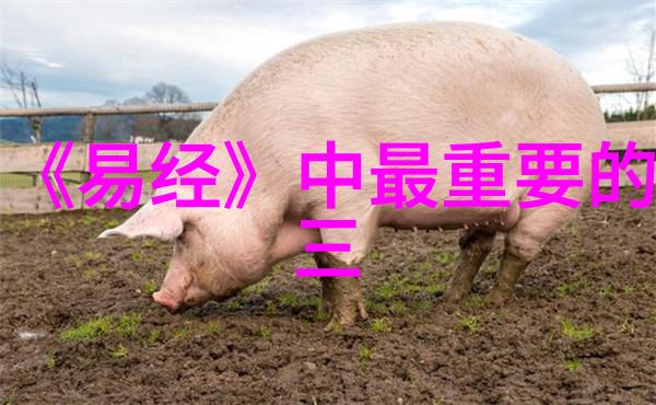 无为则无所不为无欲则刚-淡泊明志自然成才探索内心平和的力量与智慧