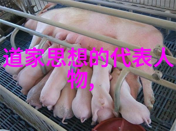古今中外精神探索者深入浅出解读道教三大创始人的影响力