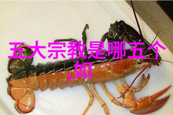 当今道教在世高人 - 道脉传承寻访现代道教的宗师们