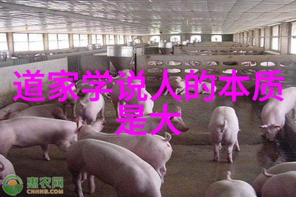 探索王羲之书法艺术流畅的笔触与雅致的韵味