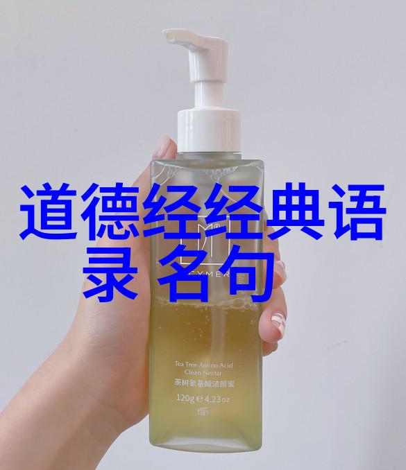 宋词奇韵清平乐出塞如梦令寻寻觅觅临江仙夜泊牛渚怀古
