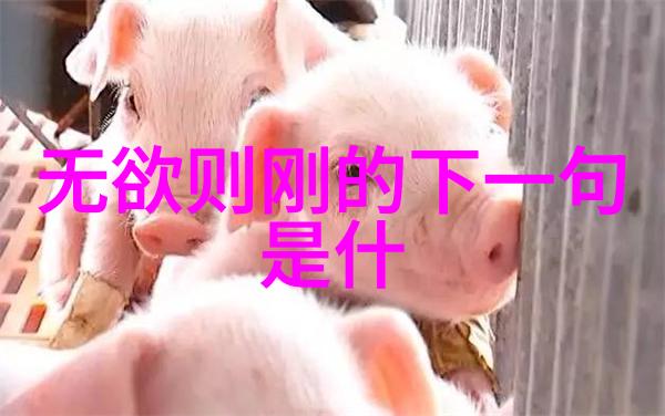 真人的足迹探索道家的二十六个圣者