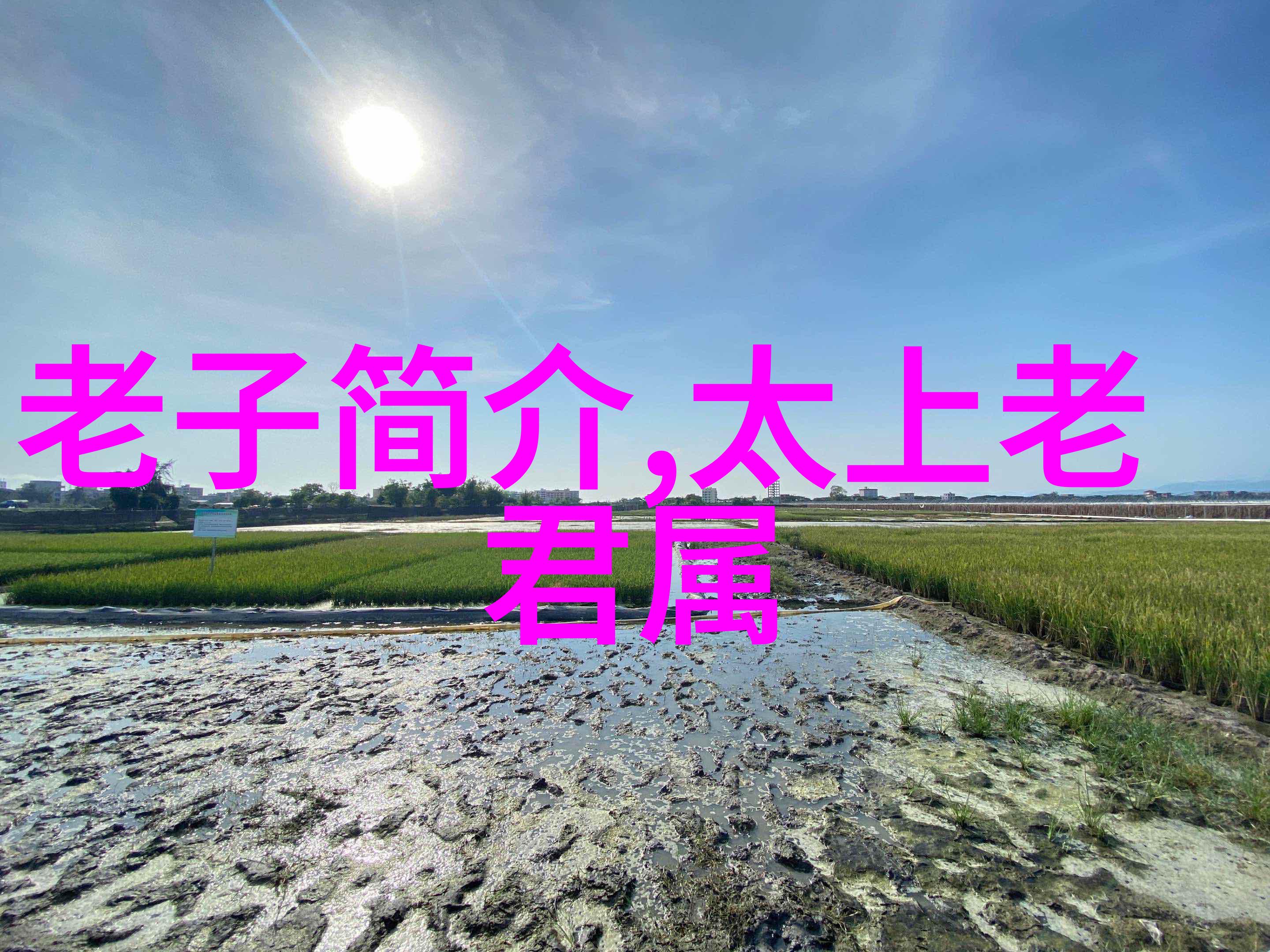 100首古诗鉴赏我和100首古诗的故事从唐宋到明清的诗行探秘