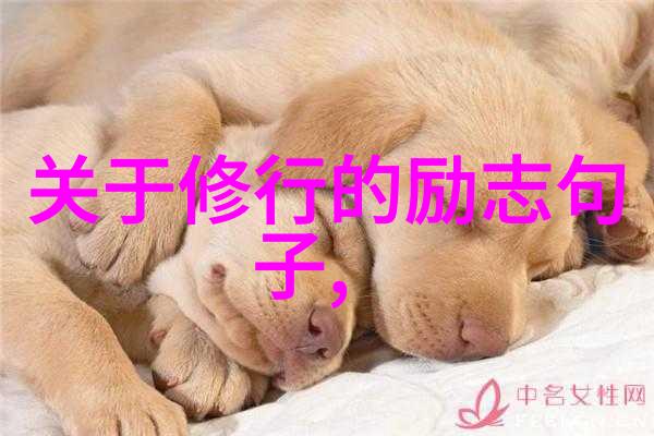 道家的宇宙观又是怎样的