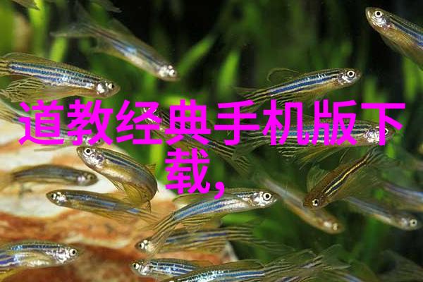 书法艺术的审美探究鉴赏与结课论文