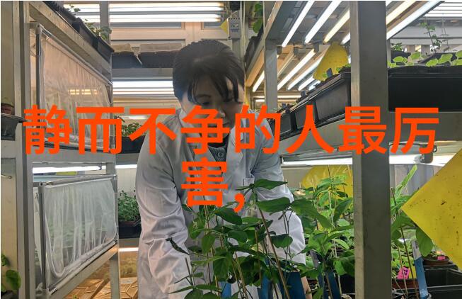 道教经书排行榜揭秘真宗圣典