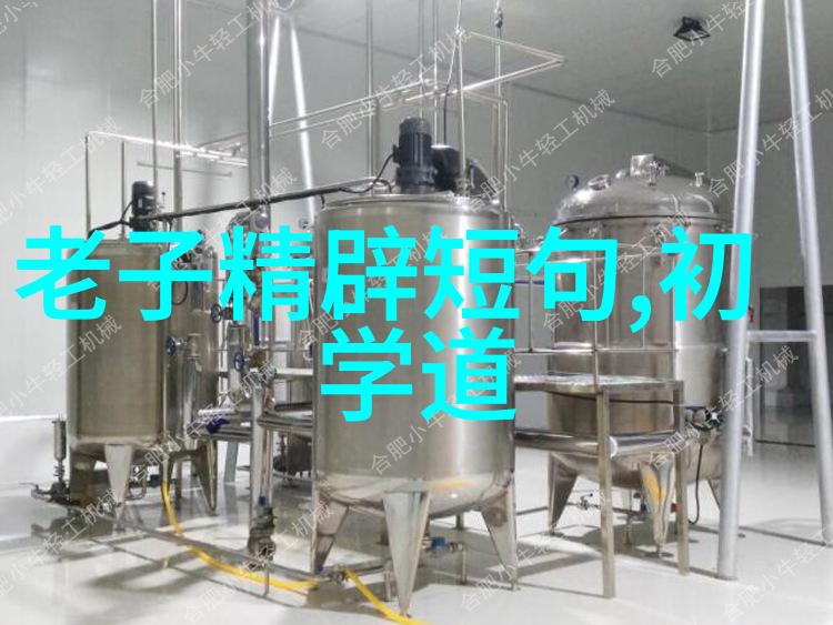 辩证的无为如何在静默中寻找行动的力量