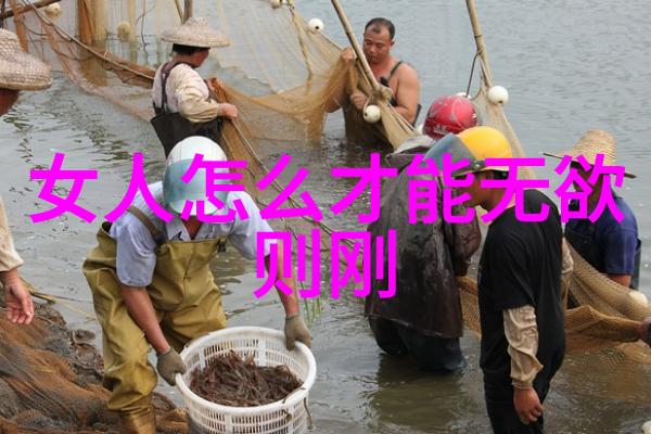 学术学习中实践与理论应该如何平衡