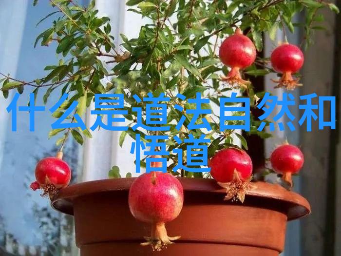 老子与孔子的对话儒道之间的交流