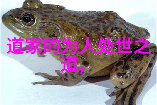 魏华存