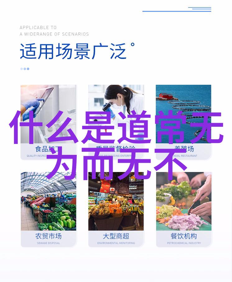 生命观与价值追求道家哲学中哪些重要人士影响了后世思潮