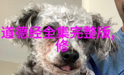 学书法的感受从墨水中挣扎到笔尖上的自我修养原来一本字帖能让我这么有趣地认识自己