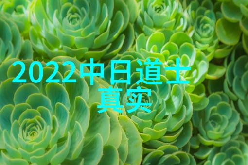 在现代社会如何理解和实践无欲则刚的生活态度