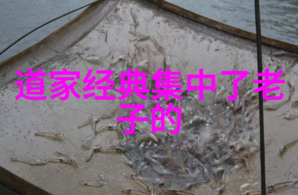 杨敏思版1-5正版电视剧追忆那段情杨敏思版经典剧集重现