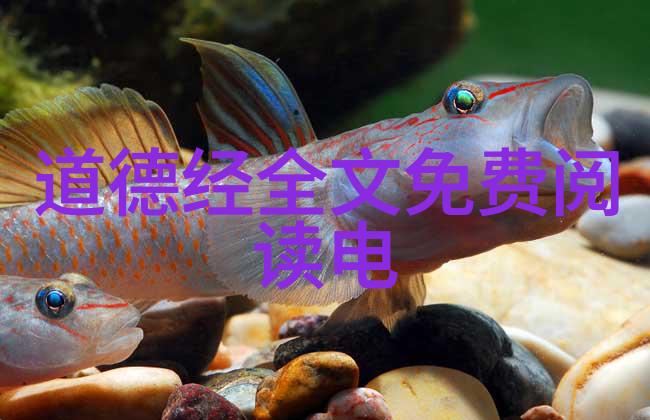 神奇小刁民王平香兰篇章的无弹窗奇遇